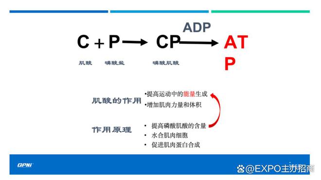 PG电子官方网站不容错过！2024深圳国际酒店餐饮展览会-HOTELEX展位火热(图11)